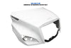 Hood Shell Fiberglass 2018+ Freightliner Cascadia 116 126