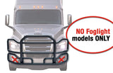 Black Front Grille Guard Large Freightliner Cascadia 2018+ - 