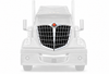 Chrome Grille with Bug Screen Complete Assembly International Lonestar